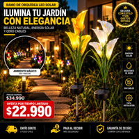 Orquídea