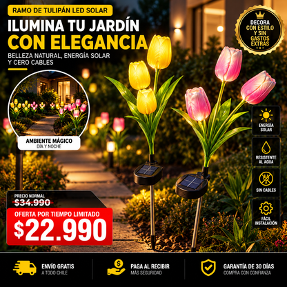 LUMIBLOOM™ | TRANSFORMA TU JARDÍN EN UN LUGAR ÚNICO