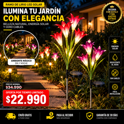 LUMIBLOOM™ | TRANSFORMA TU JARDÍN EN UN LUGAR ÚNICO