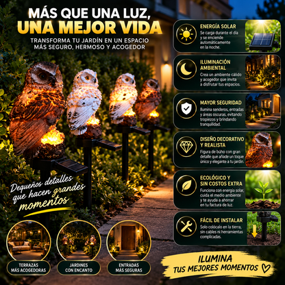 BUHO LUZ™ | ILUMINA TU JARDÍN Y TRANSFORMA TUS NOCHES.