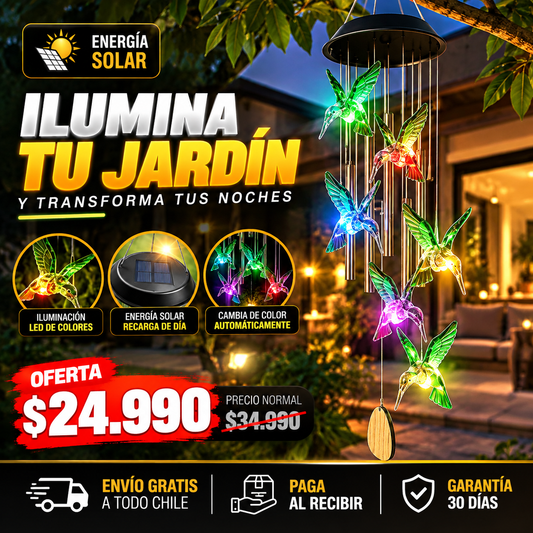 COLIBRÍZEN™ | TRANSFORMA TU JARDÍN EN UN RINCÓN DE PAZ, CON EL ENCANTO DE LOS COLIBRÍES