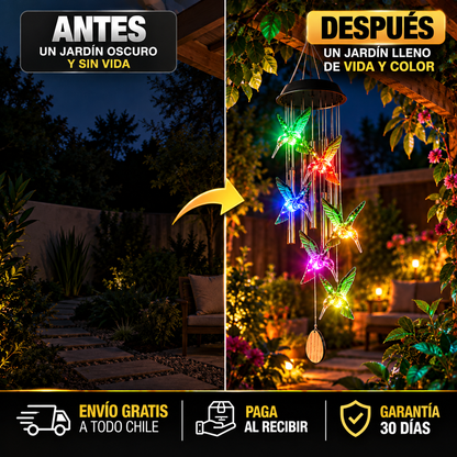COLIBRÍZEN™ | TRANSFORMA TU JARDÍN EN UN RINCÓN DE PAZ, CON EL ENCANTO DE LOS COLIBRÍES