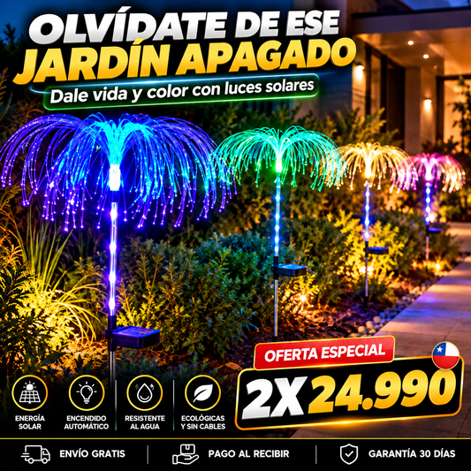 LUMIPALM™ | ILUMINA TU JARDÍN Y TRANSFORMA TUS NOCHES