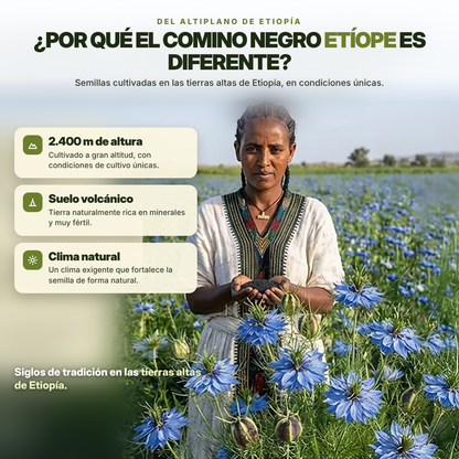 ETHIOPIAN™ 60 CAP | TU ALIADO NATURAL PARA SENTIRTE BIEN TODOS LOS DÍAS